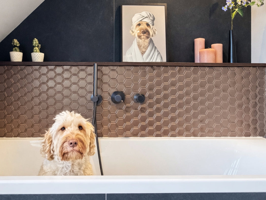 How Do You Choose the Right Spot for a Pet Portrait in Your Home?