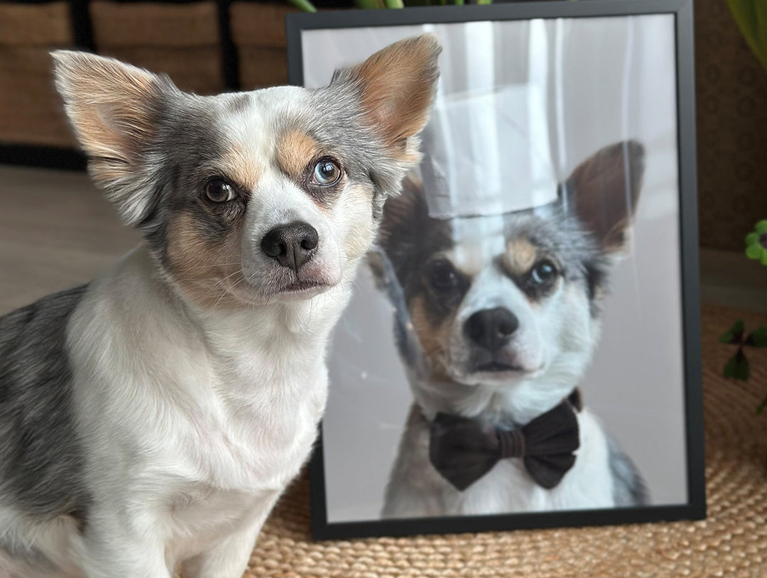 What Are the Benefits of Displaying Pet Art in Your Home?
