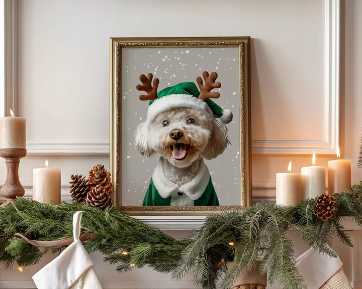 Christmas Pet Portrait