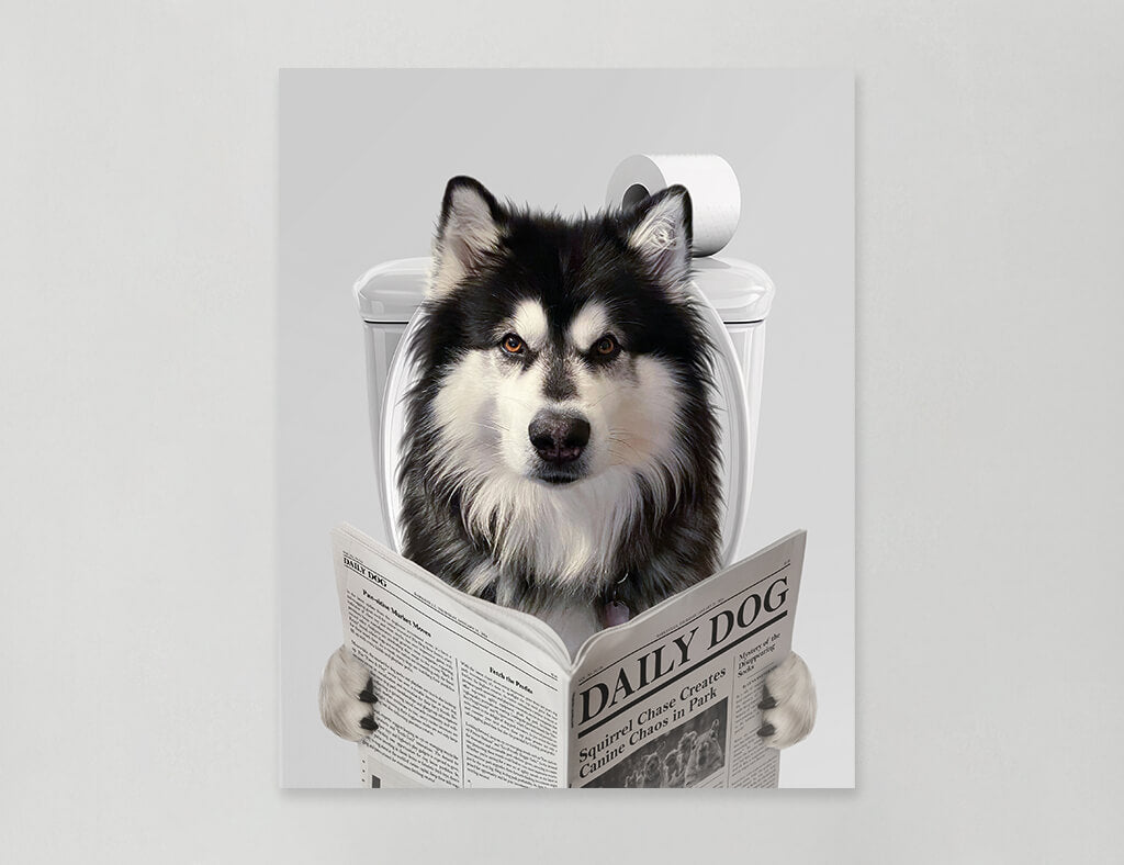 Dog Reading Newspaper on toilet