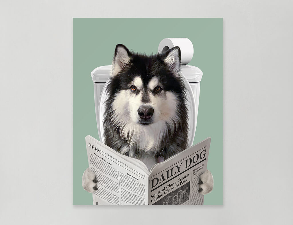 Dog Reading Newspaper on toilet