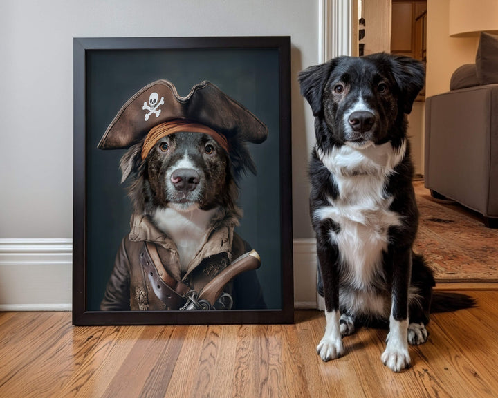 Custom funny pet portrait of a Border Collie dressed as a pirate with a captain's hat and eye patch.