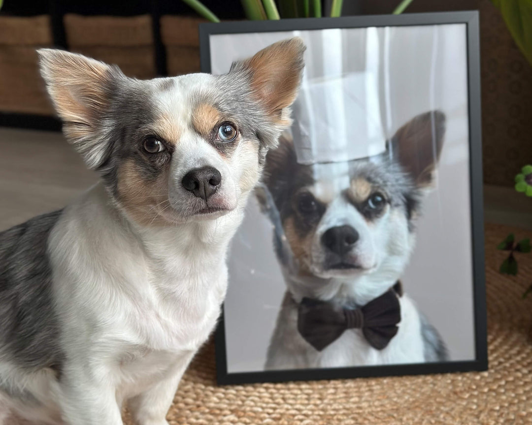 Funny Dog Bathroom Portrait