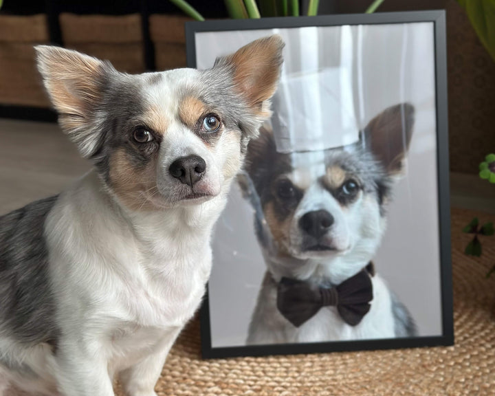Funny Dog Bathroom Portrait