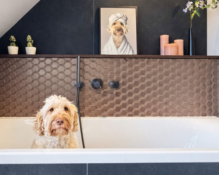 Bathroom Pet Portrait