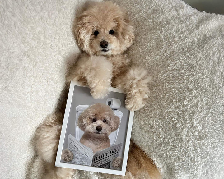 Dog Reading Newspaper on toilet