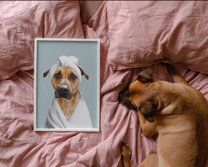 A tan dog lying on pink bedding next to a framed portrait of itself wearing a white spa head towel.