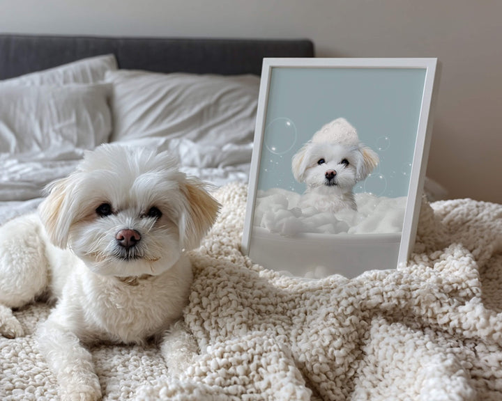 A white Maltese dog sitting on a fluffy blanket next to a framed portrait of itself surrounded by clouds.