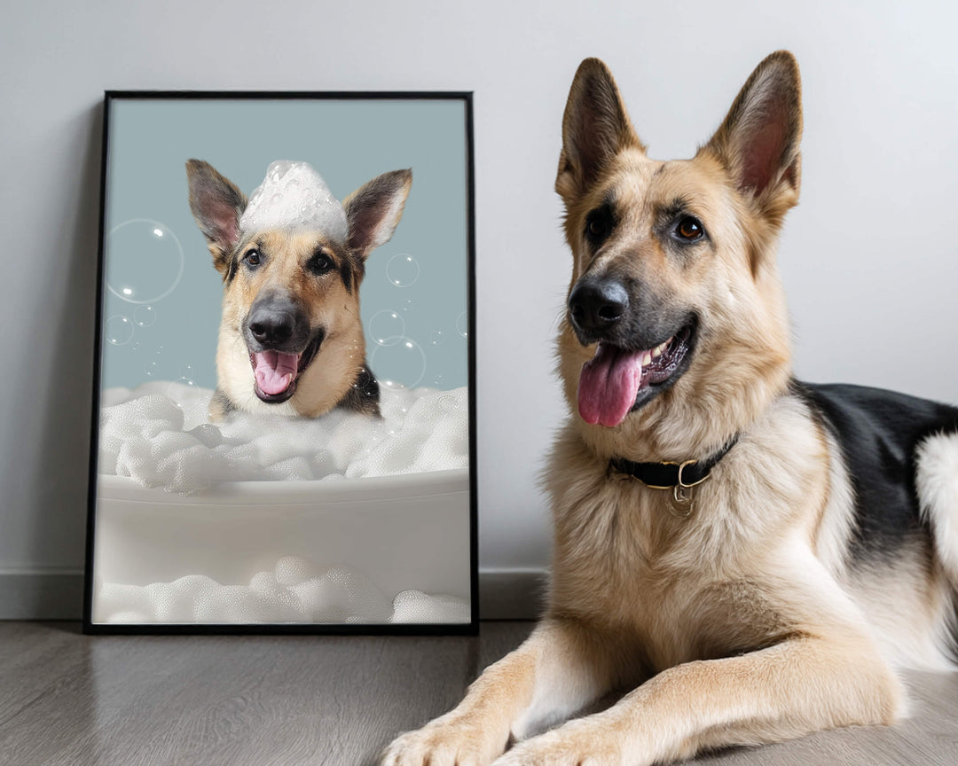 Custom dog bathroom art featuring a German Shepherd in a bubble bath next to the real dog.