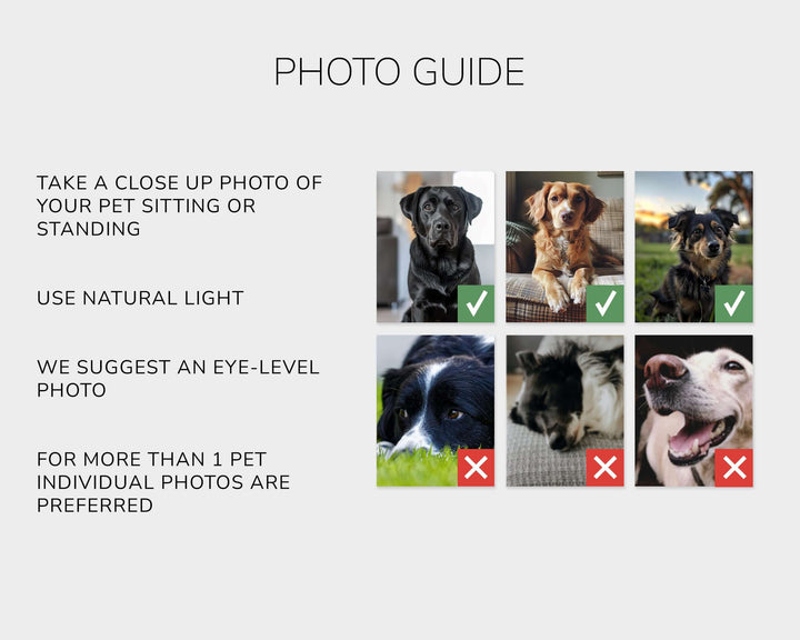 photo guidelines