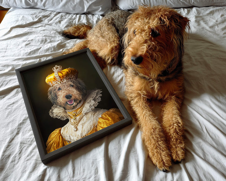 An Airedale Terrier lying on a bed next to a framed custom pet portrait in a gold regal costume.